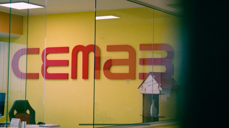 Innovazione e Velocità: La Storia di CEMAB e della Stampa Diretta su Legno con la Mimaki JFX600